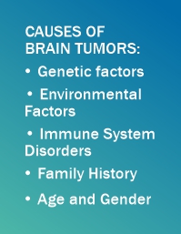 Brain Tumor Causes