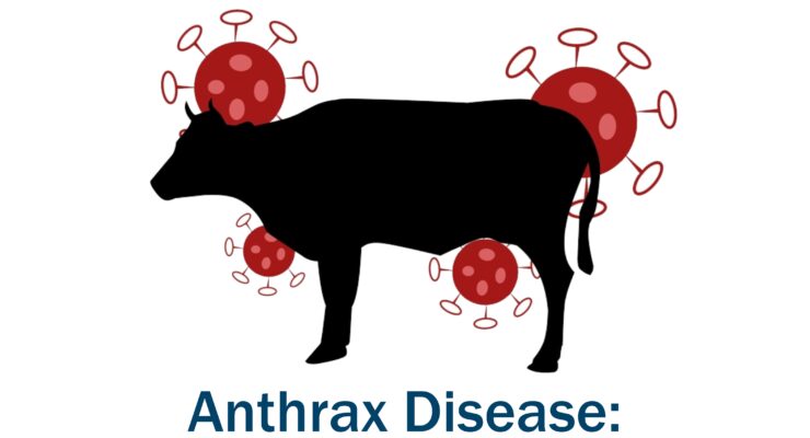 Anthrax disease: Causes, signs, symptoms, and treatment